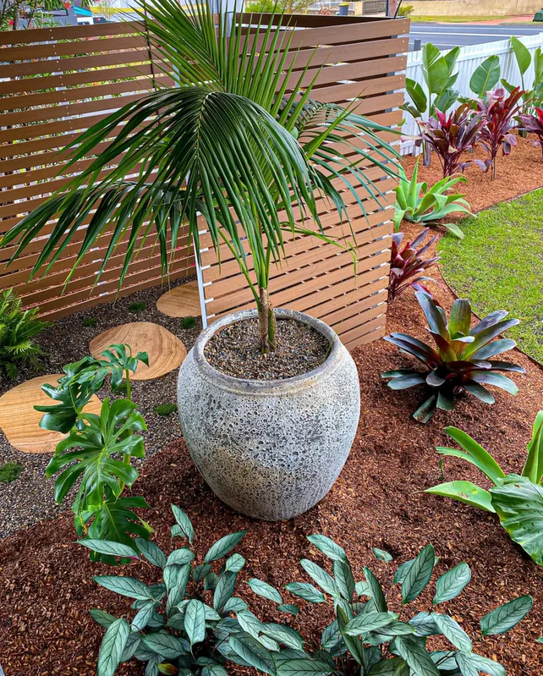 Tropical plants in backyard garden with privacy fence.