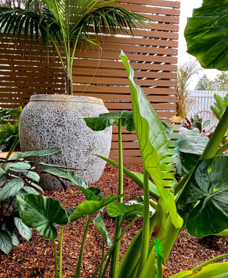 Lush garden with large pot and wooden fence