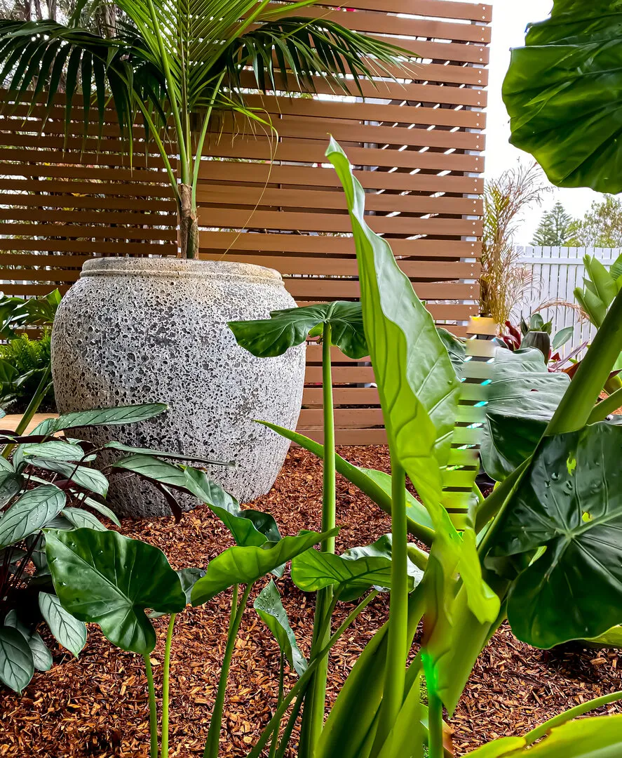 Lush garden with large pot and wooden fence