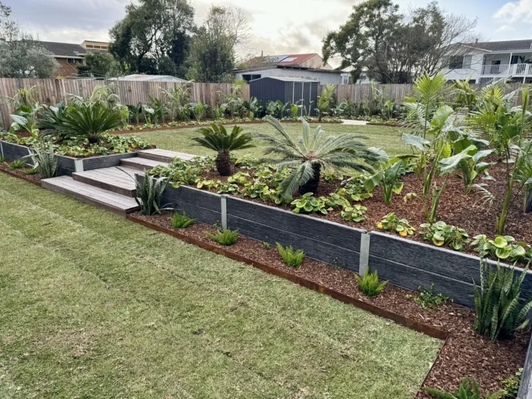 Modern garden with raised beds and lush plants.
