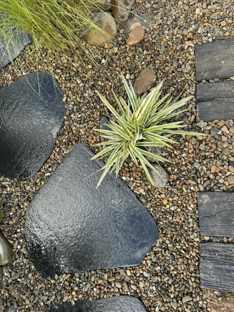Garden path with stones and grass