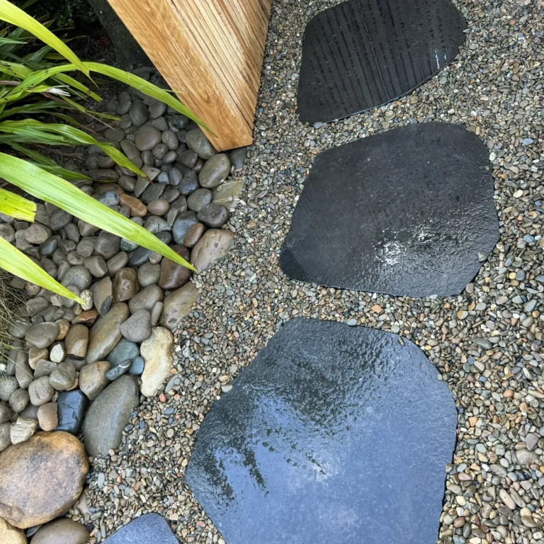 Wet stone path with surrounding rocks and plants