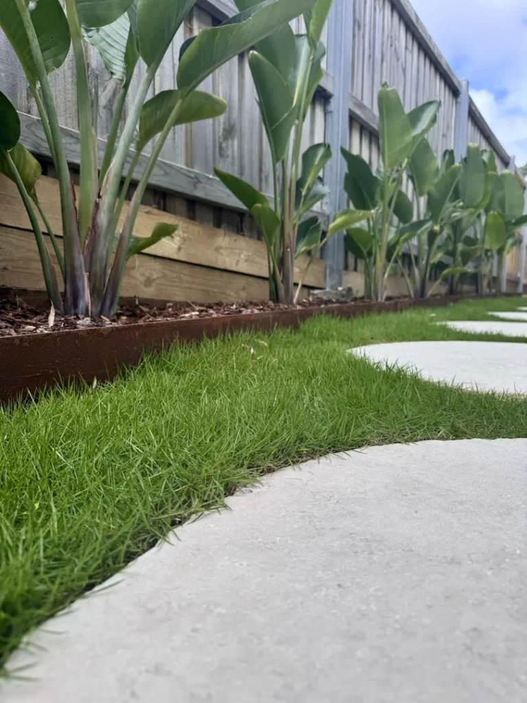 Tropical garden with stone pathway and plants