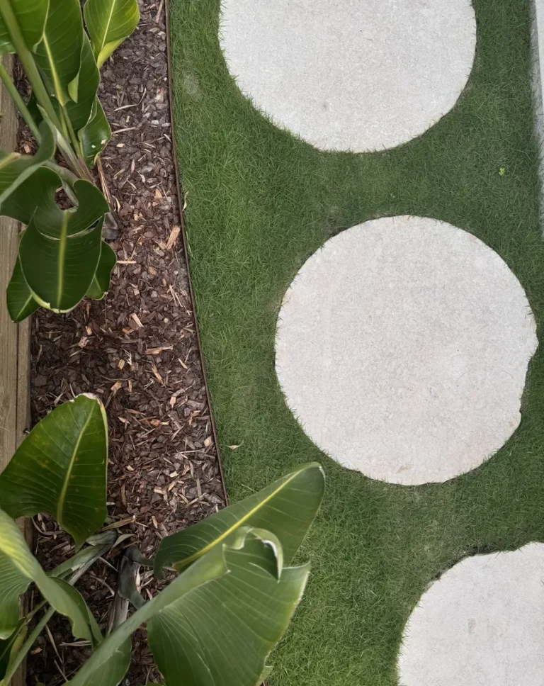 Round stepping stones on grass with leafy plants.