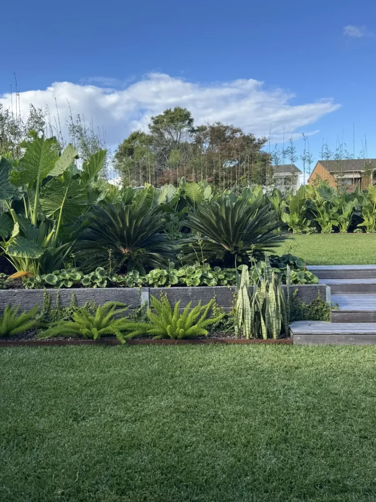 Lush garden with green plants and wooden steps.