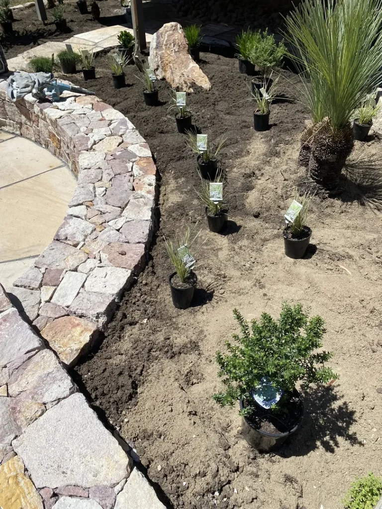 Stone pathway with planted garden beds and potted plants.
