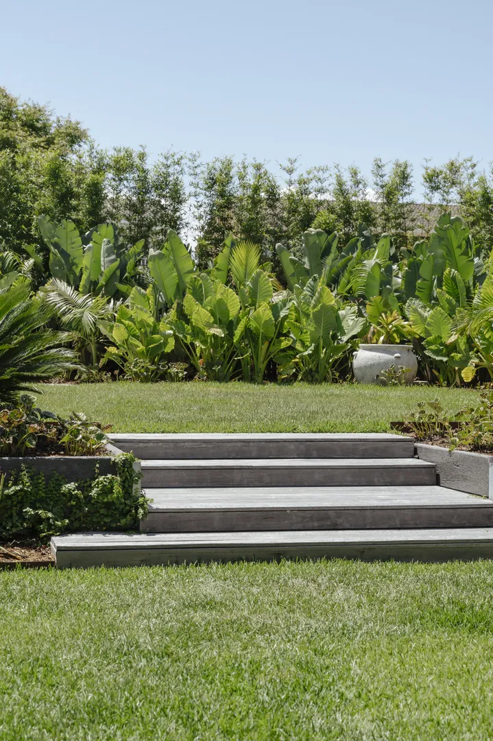 Wooden garden steps with lush tropical plants