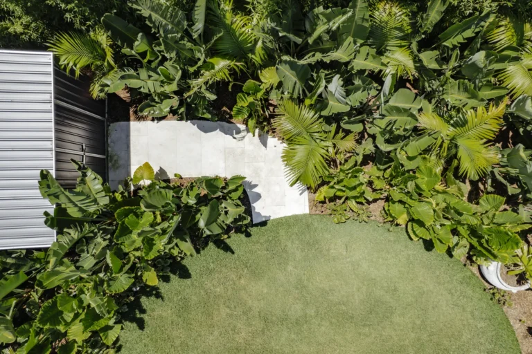 Aerial view of tropical backyard garden and lawn