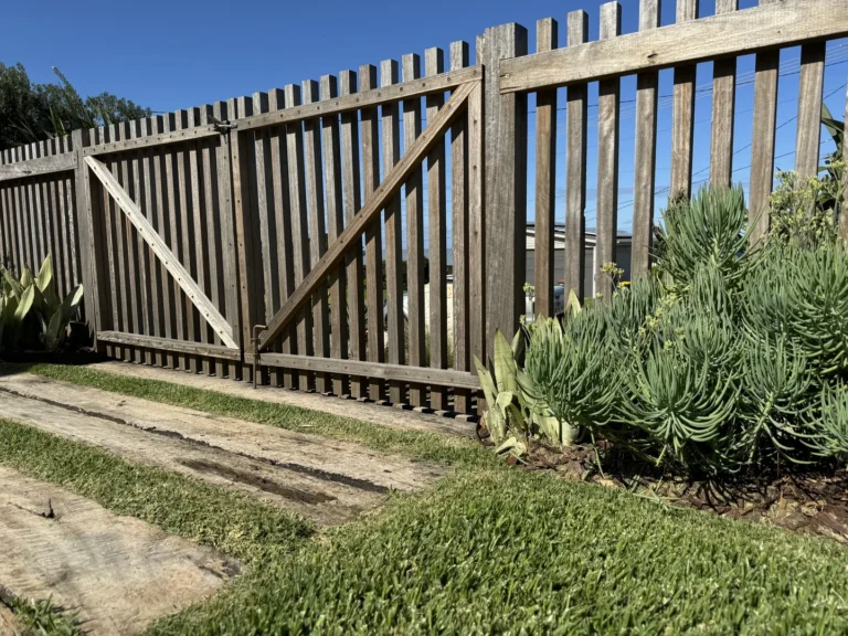 Wooden fence gate with succulents and lawn