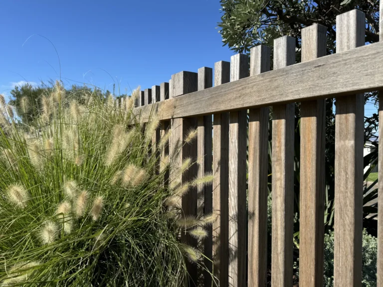 Wooden fence beside ornamental grass under blue sky