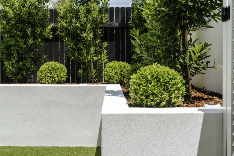 Modern garden with trimmed shrubs and white planters