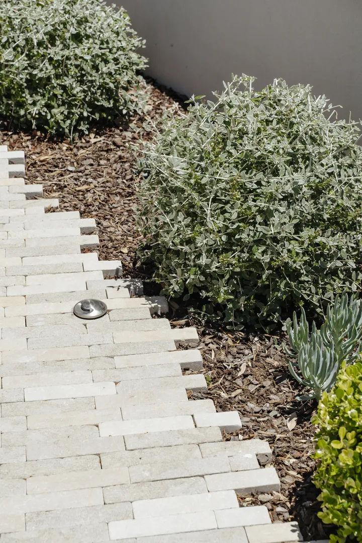Brick walkway beside landscaped garden with shrubs