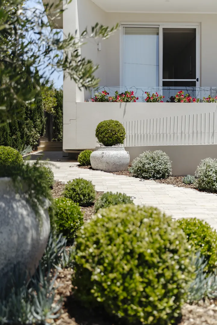 Modern home exterior with landscaped garden and potted topiary